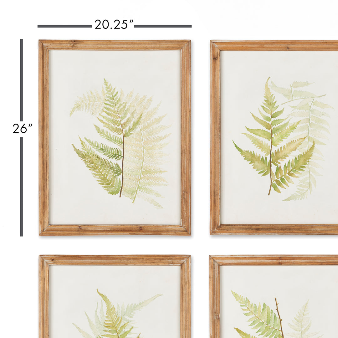 Framed Fern Study Wall Prints, Set Of 6