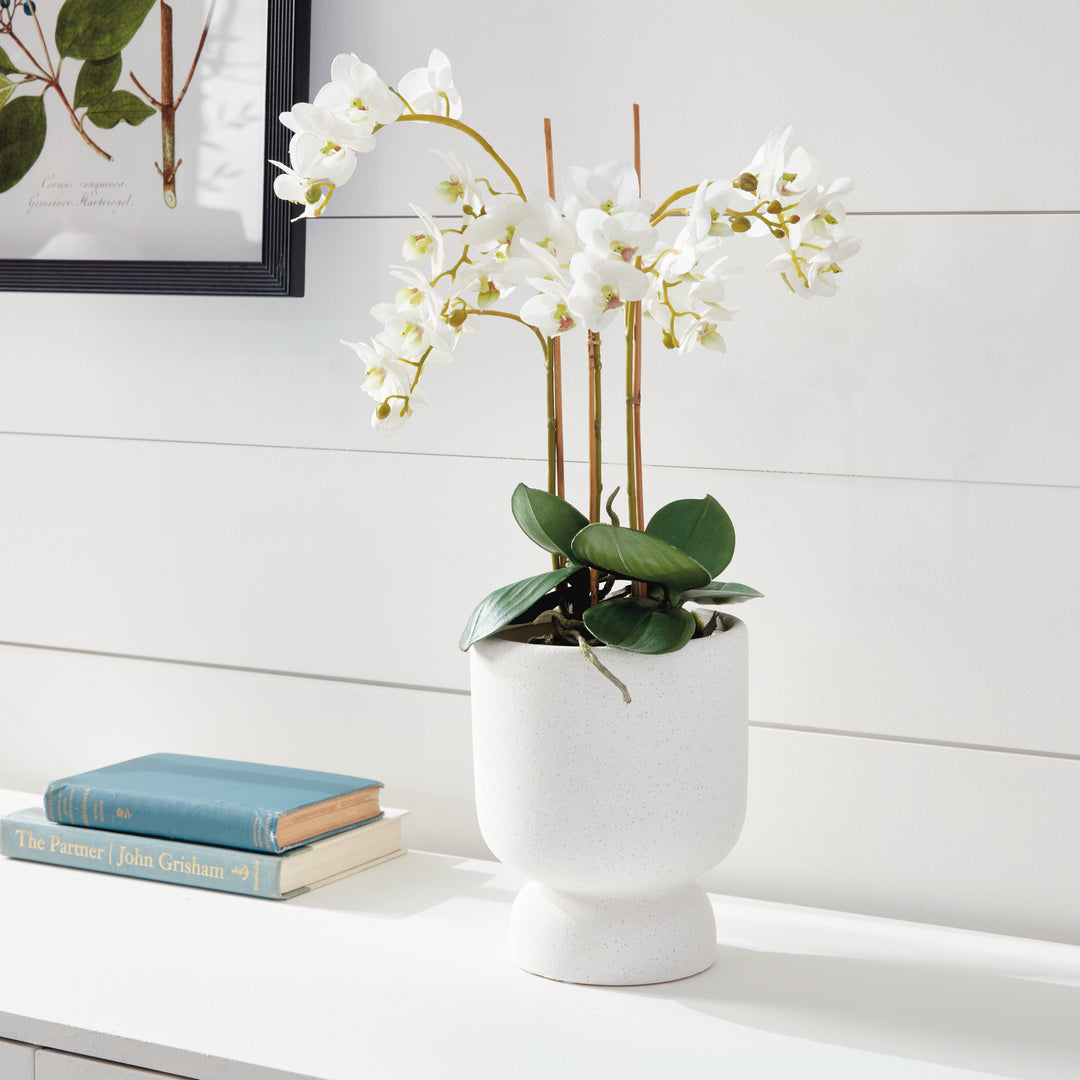 Phalaenopsis White Orchid Drop-In 20"