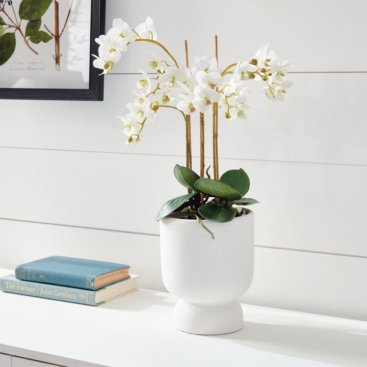 Phalaenopsis White Orchid Drop-In 20"