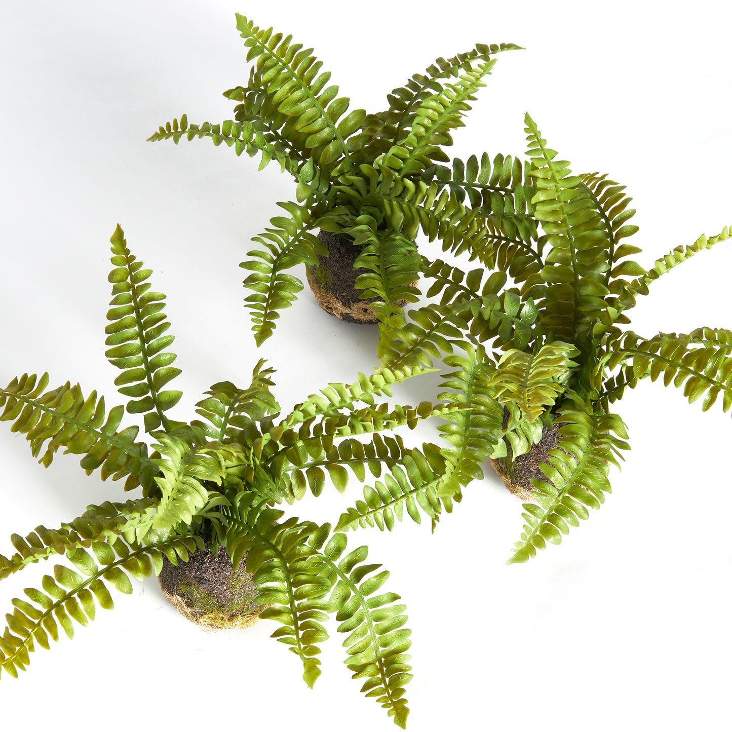 Artificial Flora Fern Drop-Ins, Set Of 3