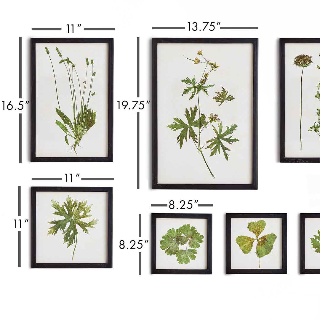 Foliage Wall Prints, Set Of 9