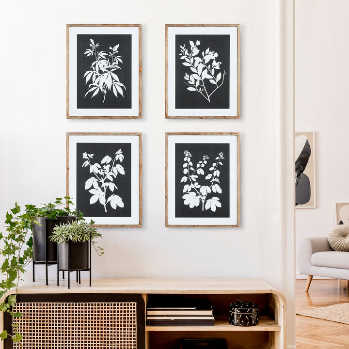 Monochrome Botanical Prints, Set Of 4