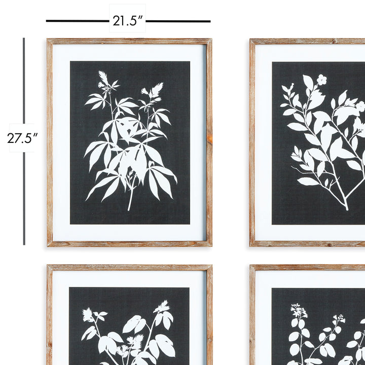 Monochrome Botanical Prints, Set Of 4