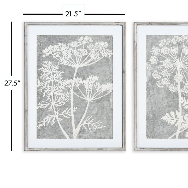 Monochrome Botanical Wall Prints, Set Of 2