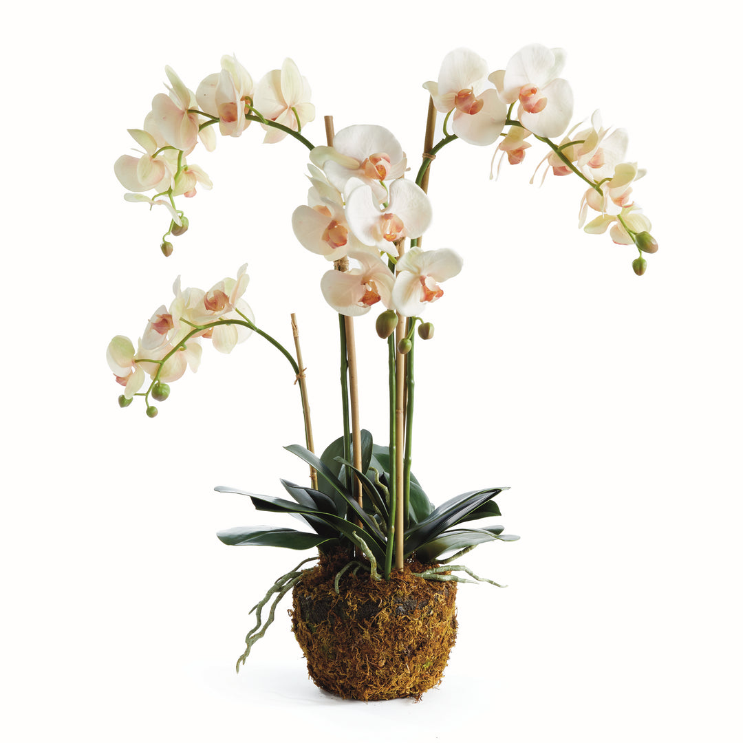 Tall Soft Blush & Pink Artificial Orchid Drop-In