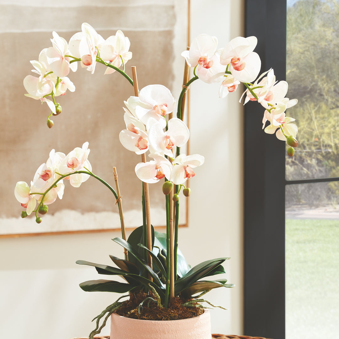 Tall Soft Blush & Pink Artificial Orchid Drop-In