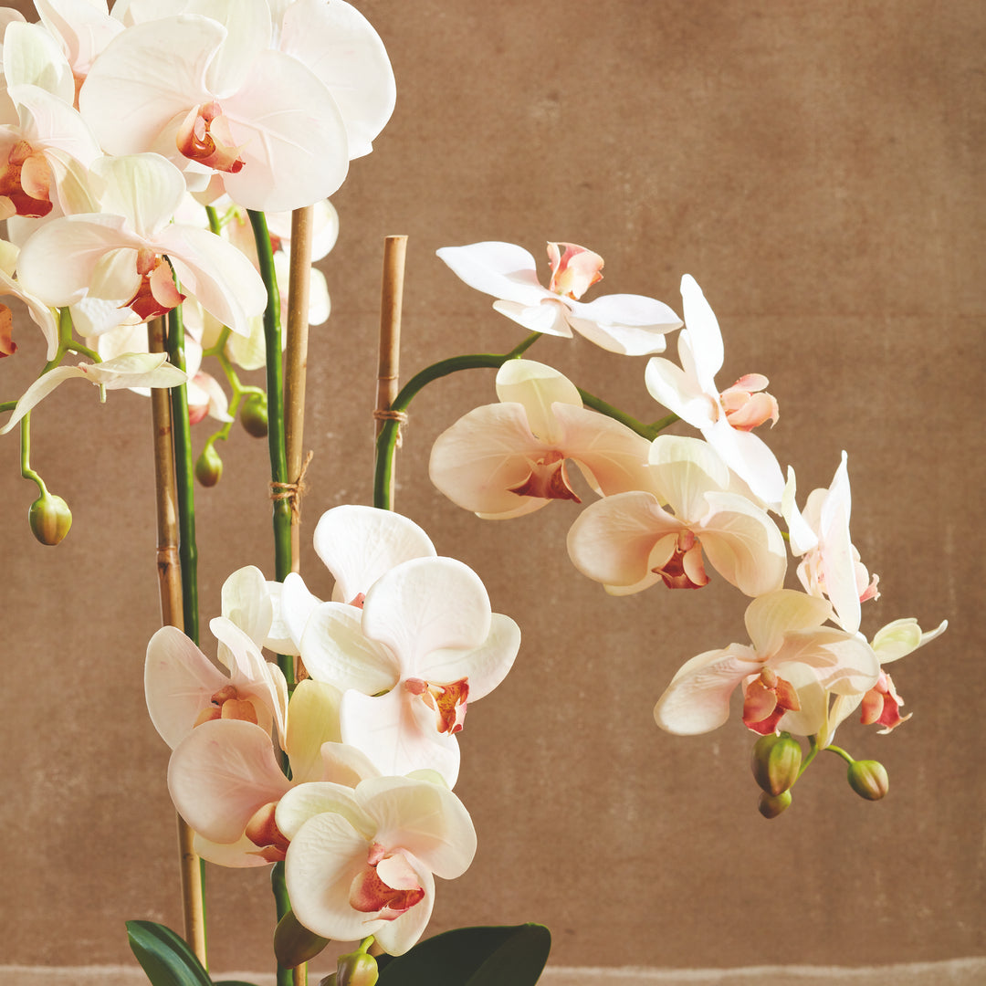 Tall Soft Blush & Pink Artificial Orchid Drop-In