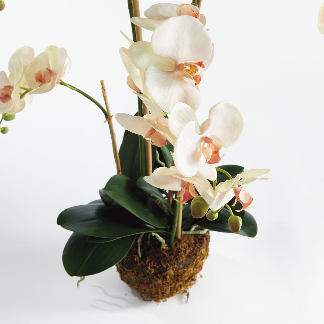 Tall Soft Blush & Pink Artificial Orchid Drop-In