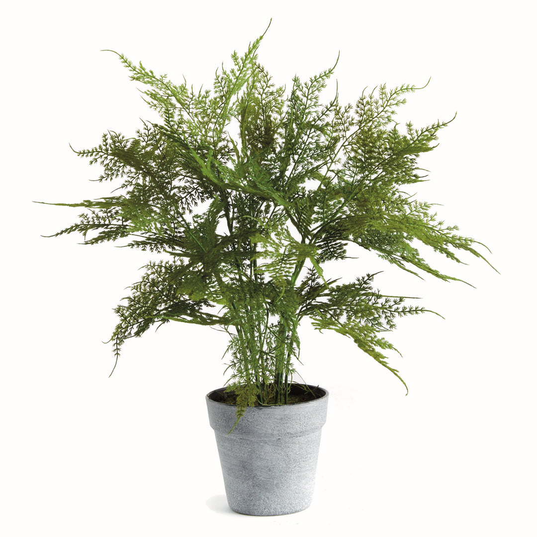 Realistic Plumosa Faux Fern Drop-In with Grower’s Pot