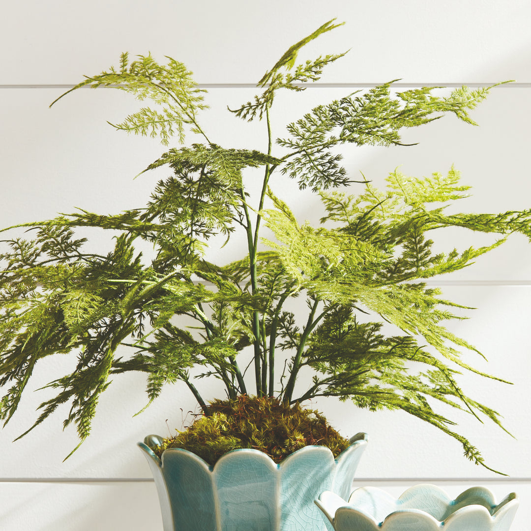 Realistic Plumosa Faux Fern Drop-In with Grower’s Pot