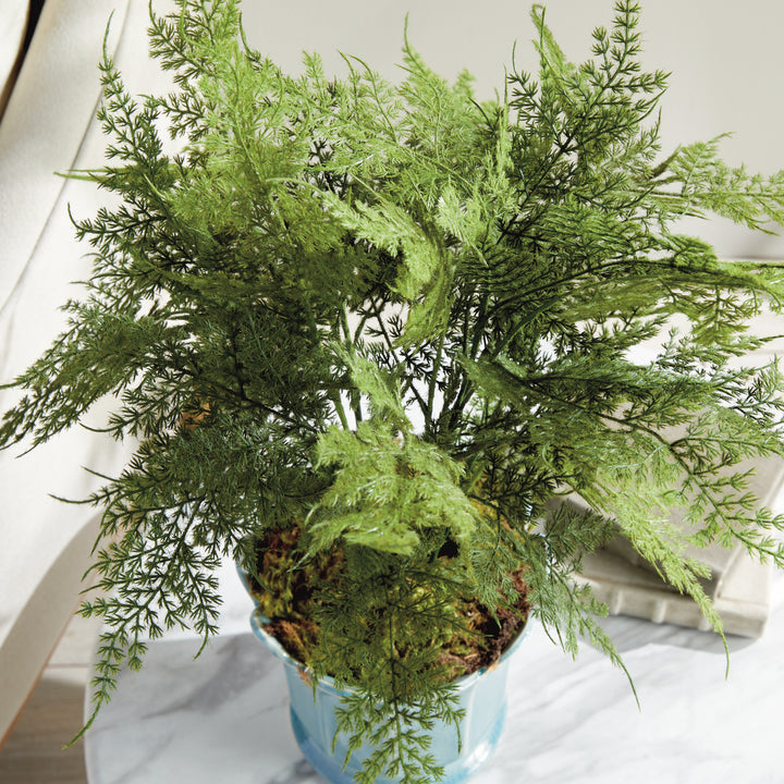 Realistic Plumosa Faux Fern Drop-In with Grower’s Pot