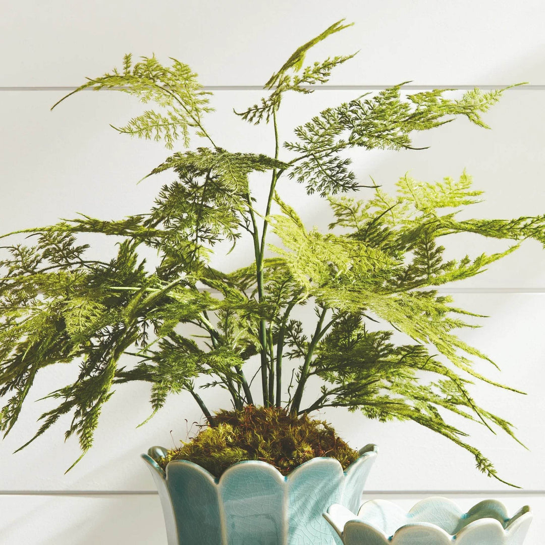 Realistic Plumosa Faux Fern Drop-In with Grower’s Pot