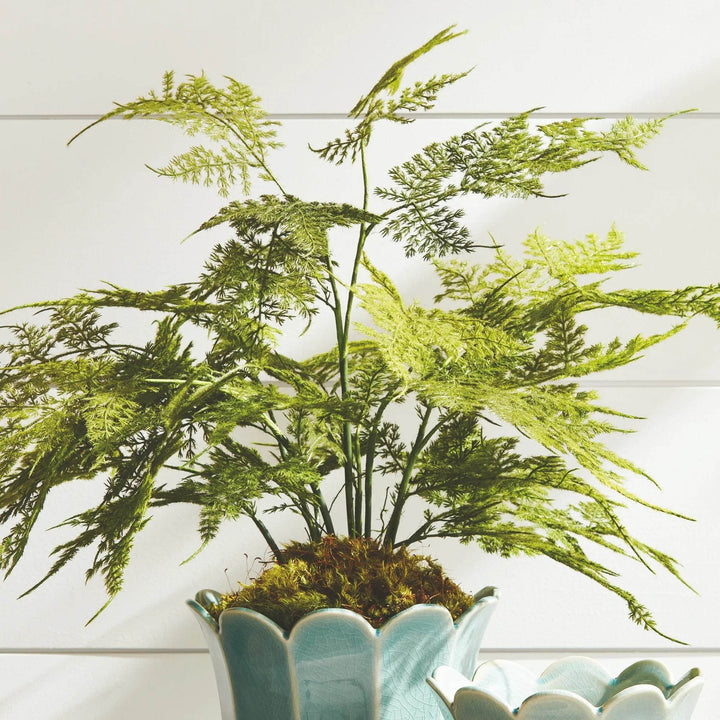 Realistic Plumosa Faux Fern Drop-In with Grower’s Pot