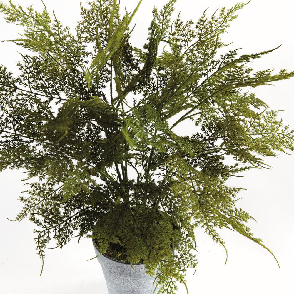 Realistic Plumosa Faux Fern Drop-In with Grower’s Pot