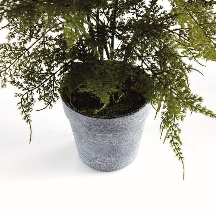 Realistic Plumosa Faux Fern Drop-In with Grower’s Pot