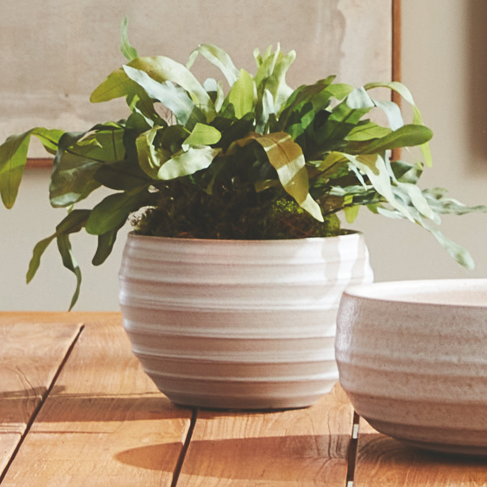 Hand-Thrown White Ceramic Planter Pot with Matte Finish