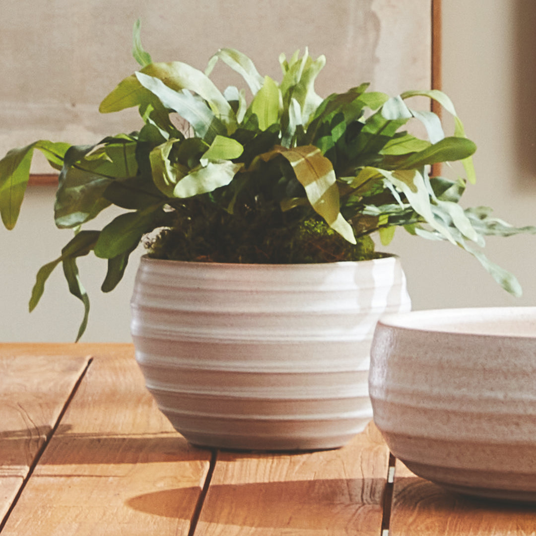 Hand-Thrown White Ceramic Planter Pot with Matte Finish