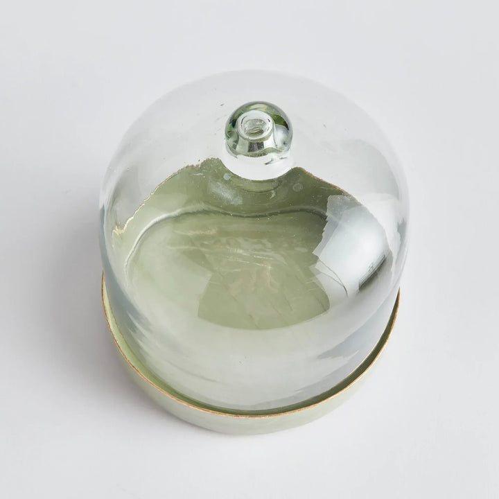 Kammie Tray With Cloche Small
