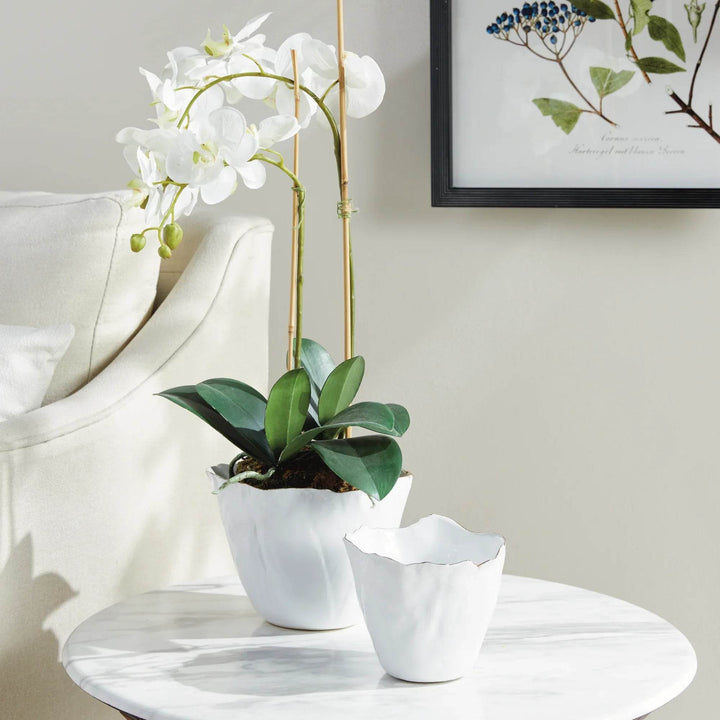 Our White Cachepots Planters feature crimped edges and a natural form, making them the perfect statement-making centerpiece. The hand-brushed gold tipped edges are electroplated for lasting shine and durability. Add your favorite orchid to elevate your home decor game.
