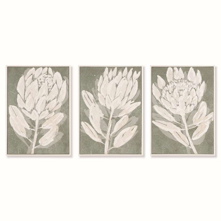 Nature-Inspired Triptych of South African Protea Art