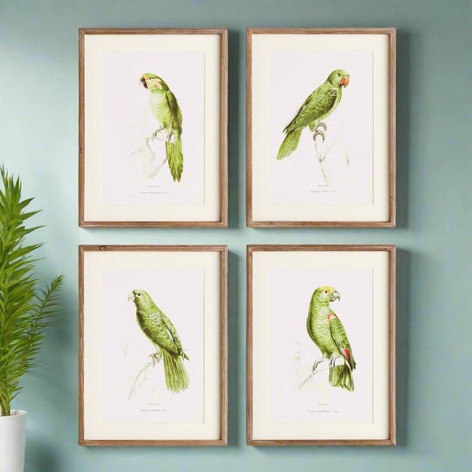 Designed in a timeless British Colonial style, these Parrot Wall Prints in Green bring a vibrant burst of color to any space, from bedroom to foyer. Crafted with superior materials, these prints capture the essence of nature and are an ideal decor choice for traditional coastal settings.