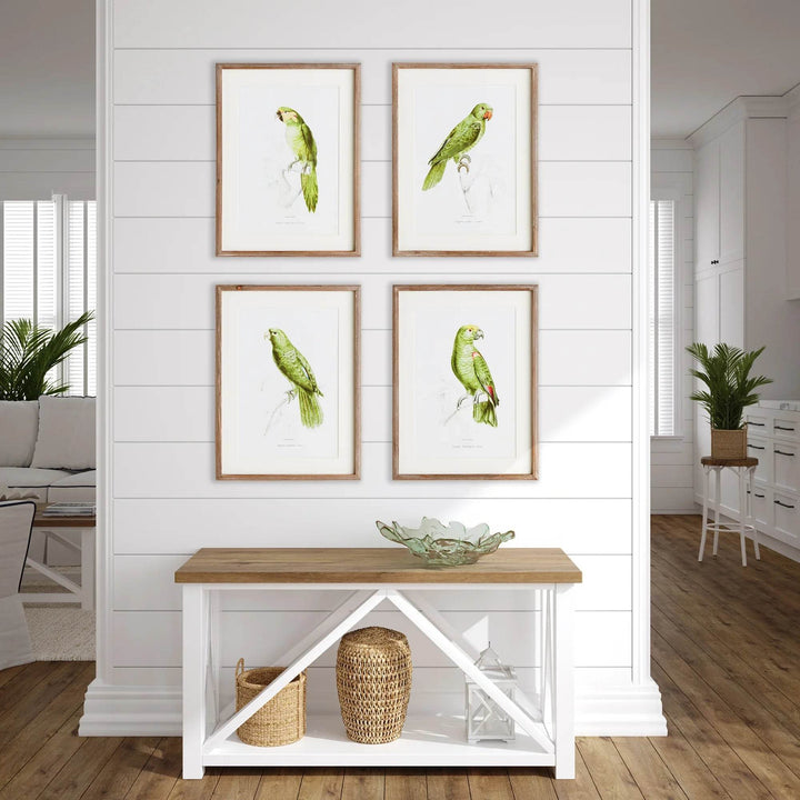 Parrot Wall Prints In Green