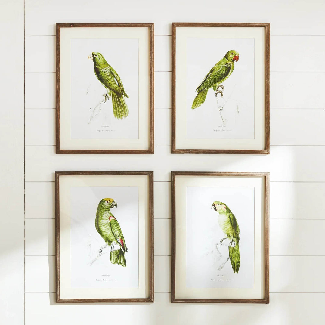 Parrot Wall Prints In Green