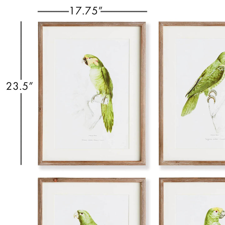 Parrot Wall Prints In Green