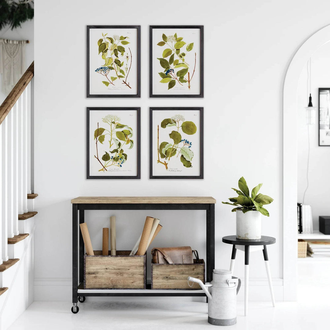 Floral And Berry Study Wall Prints - Delamere Design