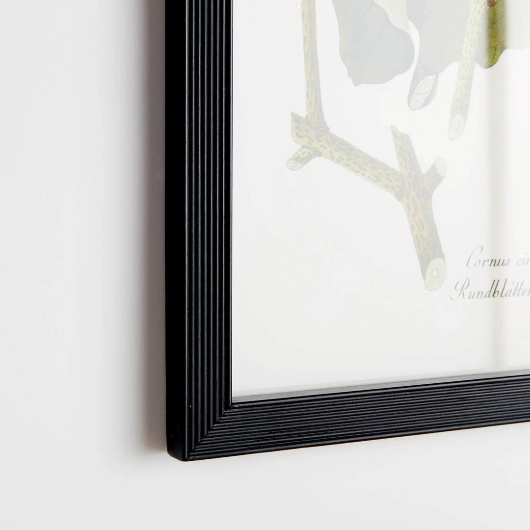 Floral And Berry Study Wall Prints - Delamere Design