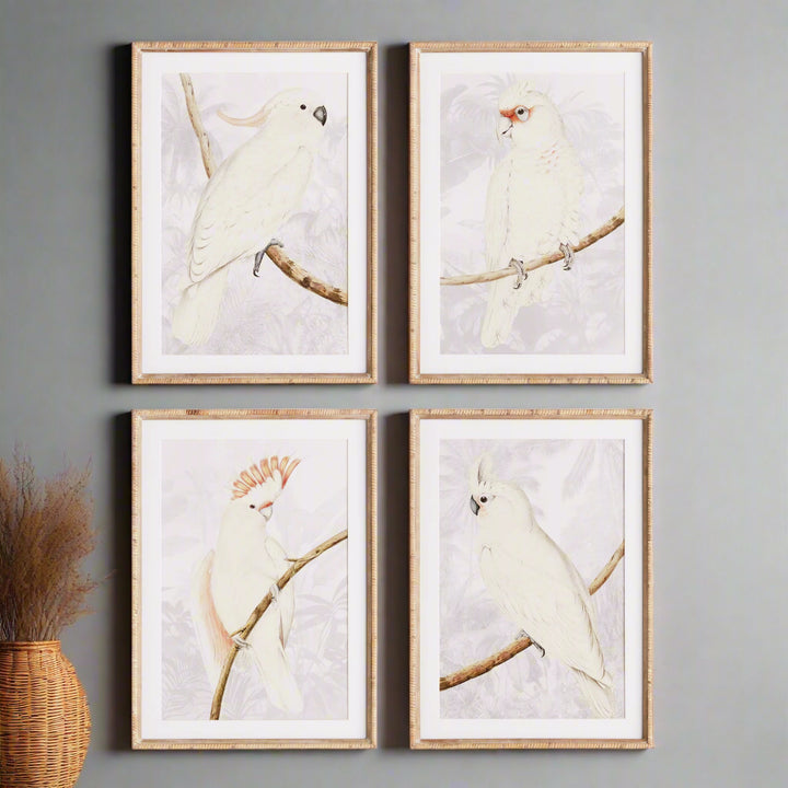 Cockatoo Prints in Neutral Tones with Rattan Wrapped Wood Frames