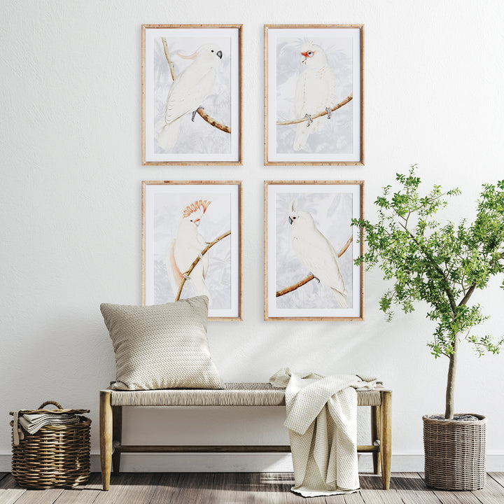 Cockatoo Prints in Neutral Tones with Rattan Wrapped Wood Frames