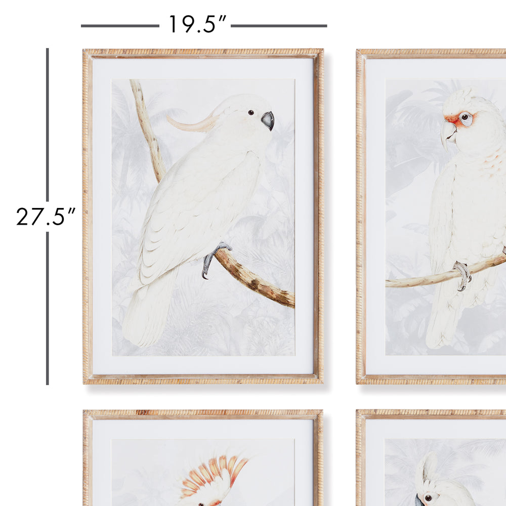 Cockatoo Prints in Neutral Tones with Rattan Wrapped Wood Frames