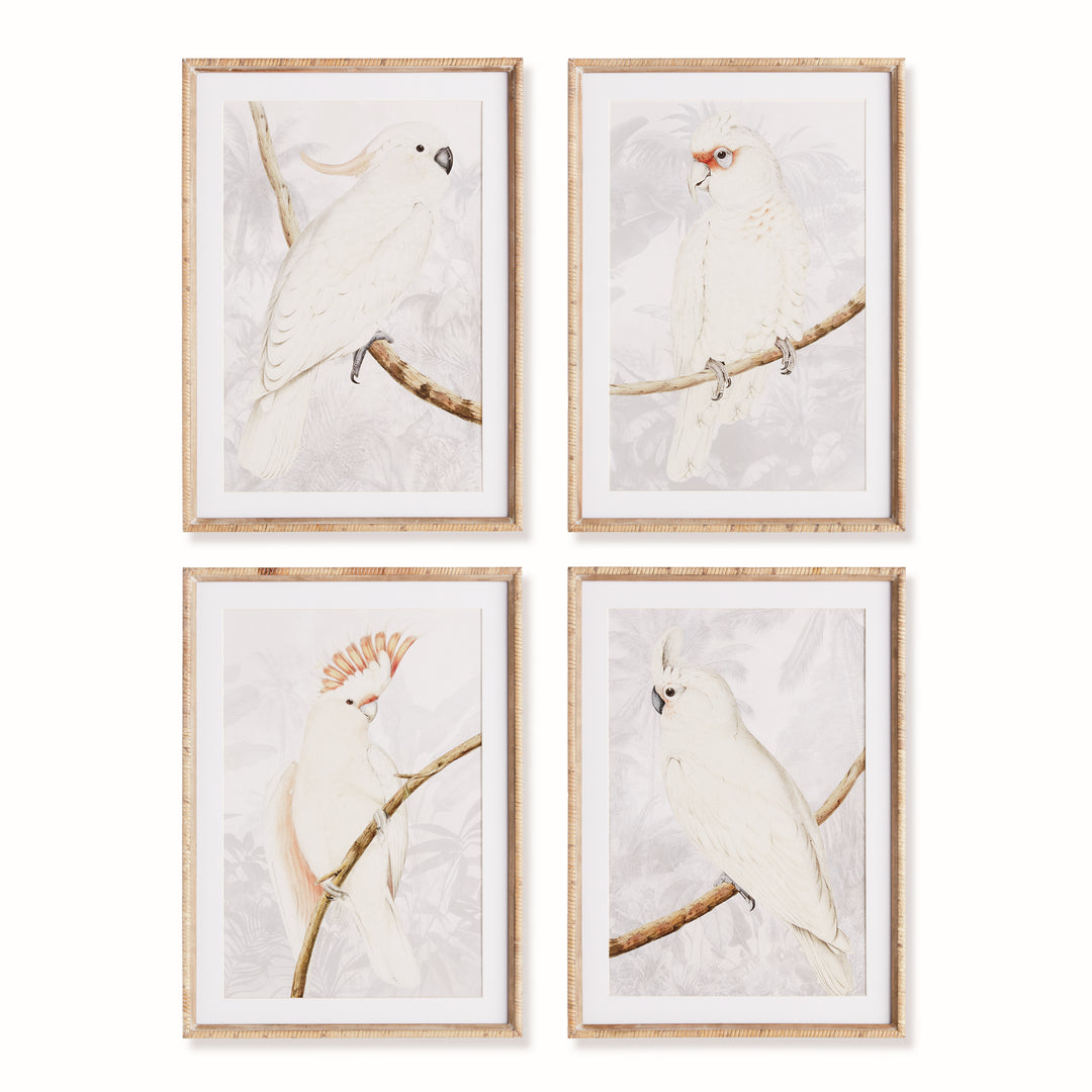 Cockatoo Prints in Neutral Tones with Rattan Wrapped Wood Frames