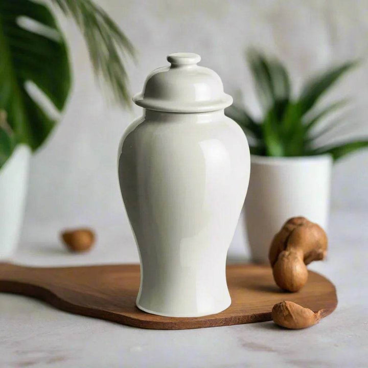 Lili White Ceramic Lidded Mini Ginger Jar