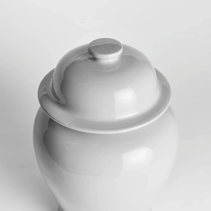 Lili White Ceramic Wide Lidded Ginger Jar, Large