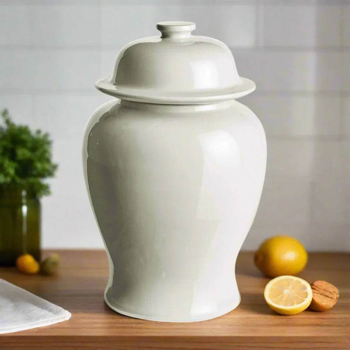 Lili White Ceramic Wide Lidded Ginger Jar, Large