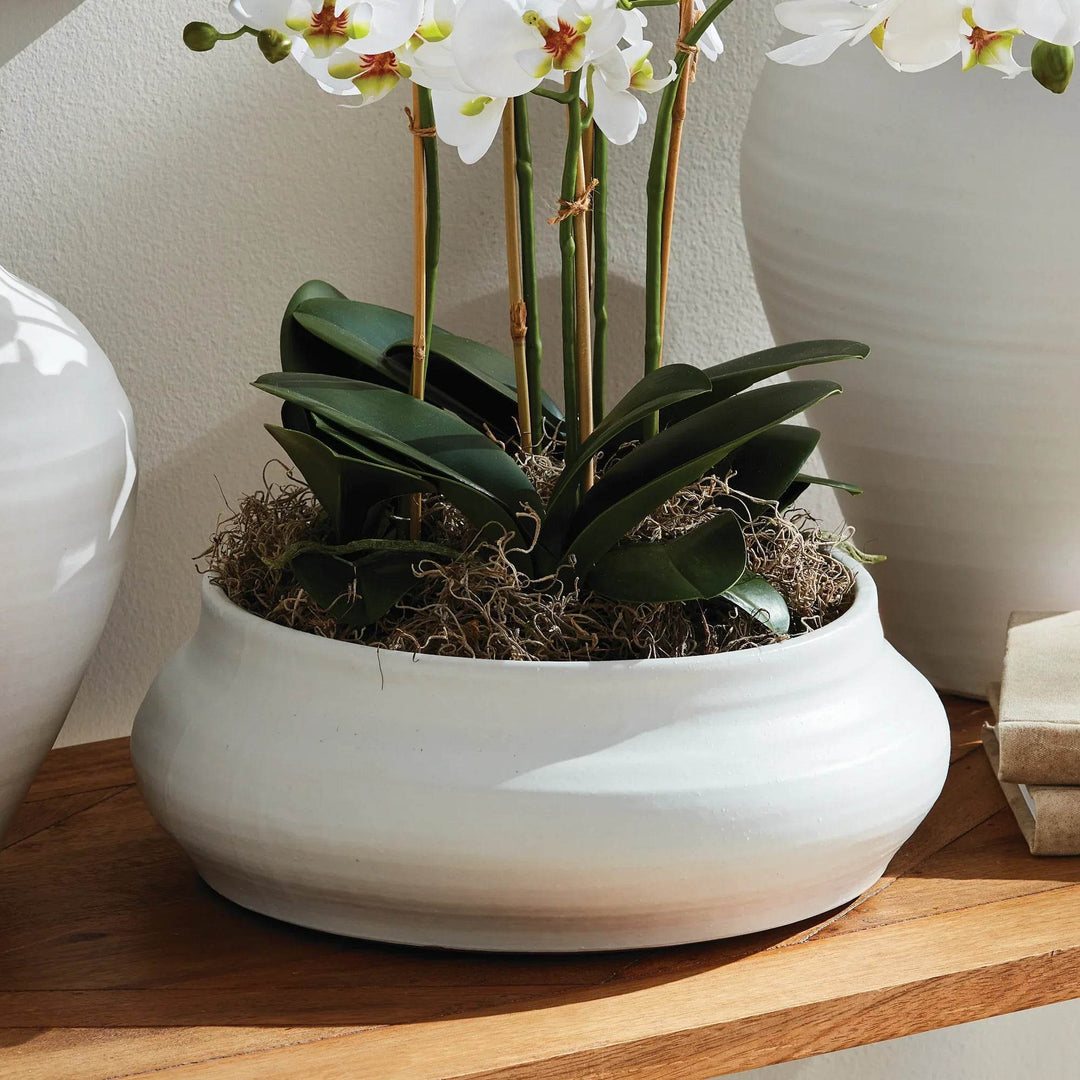 Hand Thrown White Terracotta Bowl Matte Glaze Decorative Accent