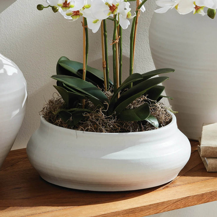 Hand Thrown White Terracotta Bowl Matte Glaze Decorative Accent