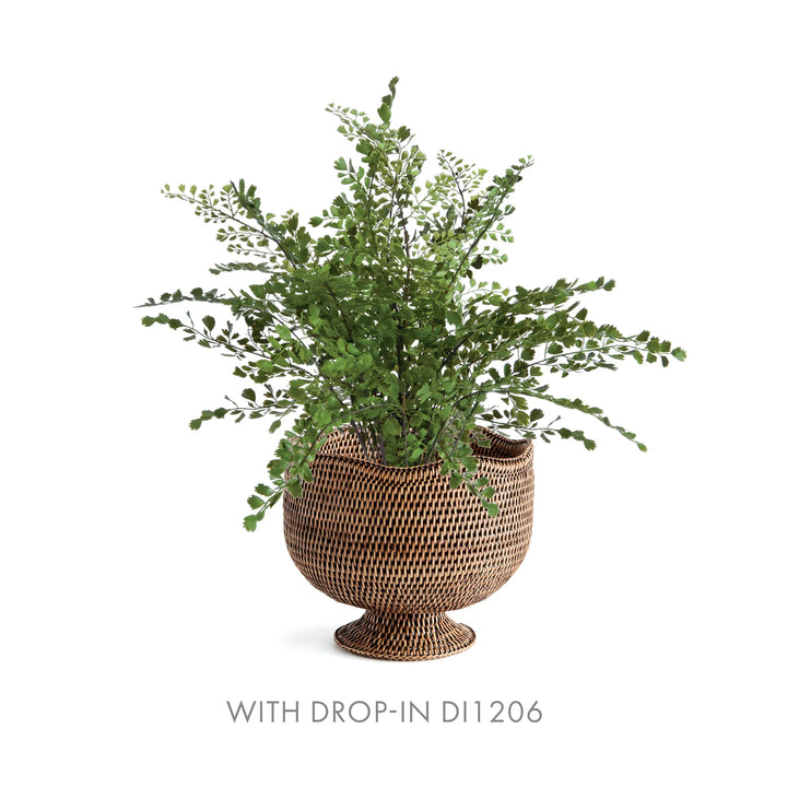Potted plant in a woven basket on a white background