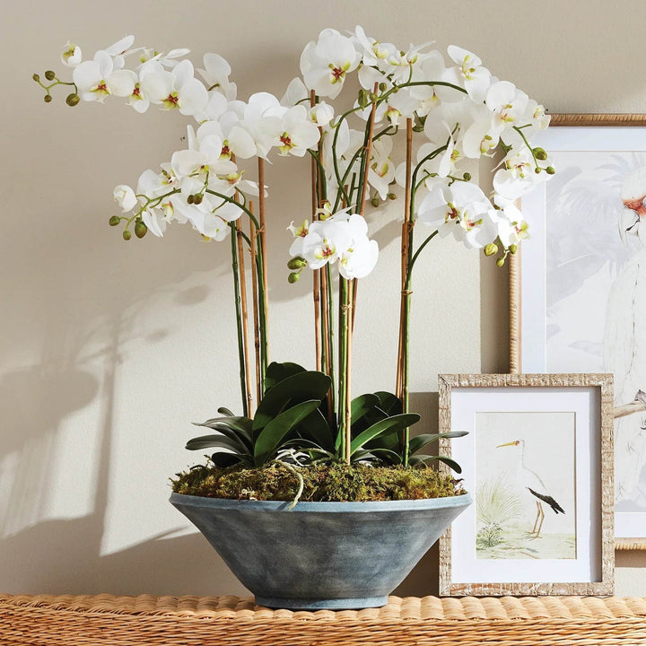 Realistic White Moth Orchid Artificial Drop-In Bowl Arrangement