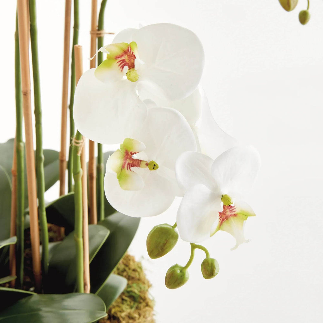 Realistic White Moth Orchid Artificial Drop-In Bowl Arrangement