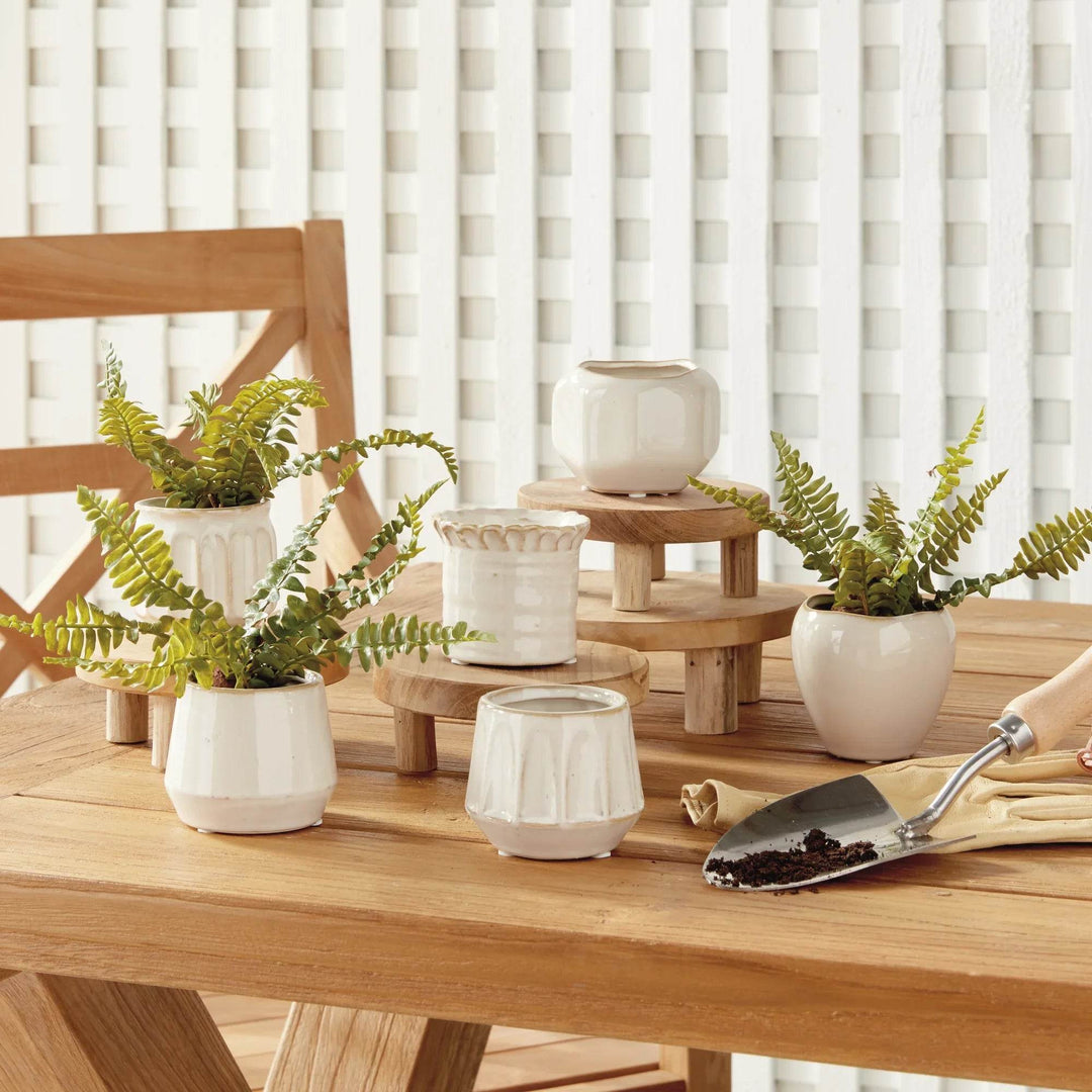Mini Cream Stoneware Planter Pots - Set Of 6 With Drain Holes - Delamere Design