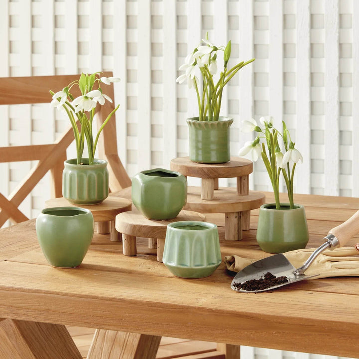 Mini Green Stoneware Planter Pots Set Of 6 With Drain Holes - Delamere Design