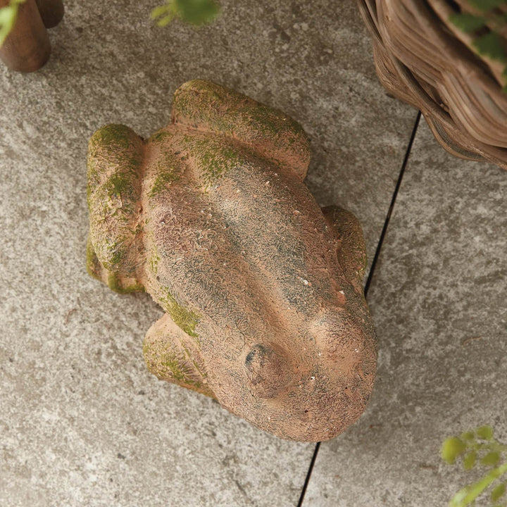 Overhead view of mossy garden frog figurine, capturing surface details and curled posture of the terracotta body.

