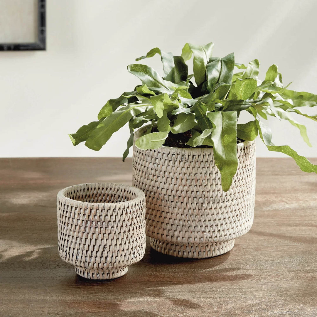 Whitewash Burma Rattan Cachepots - Set of 2