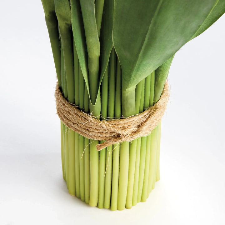 Peony Tulip Bundle Drop-In 22" – Modern Organic