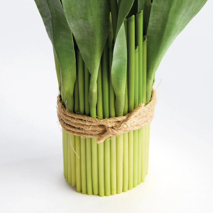 Peony Tulip Bundle Drop-In 19" – Modern Organic