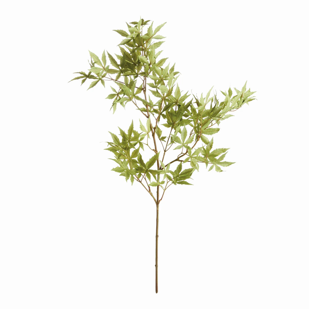 Maple Leaf Branches 41", Set Of 2 – Modern Organic
