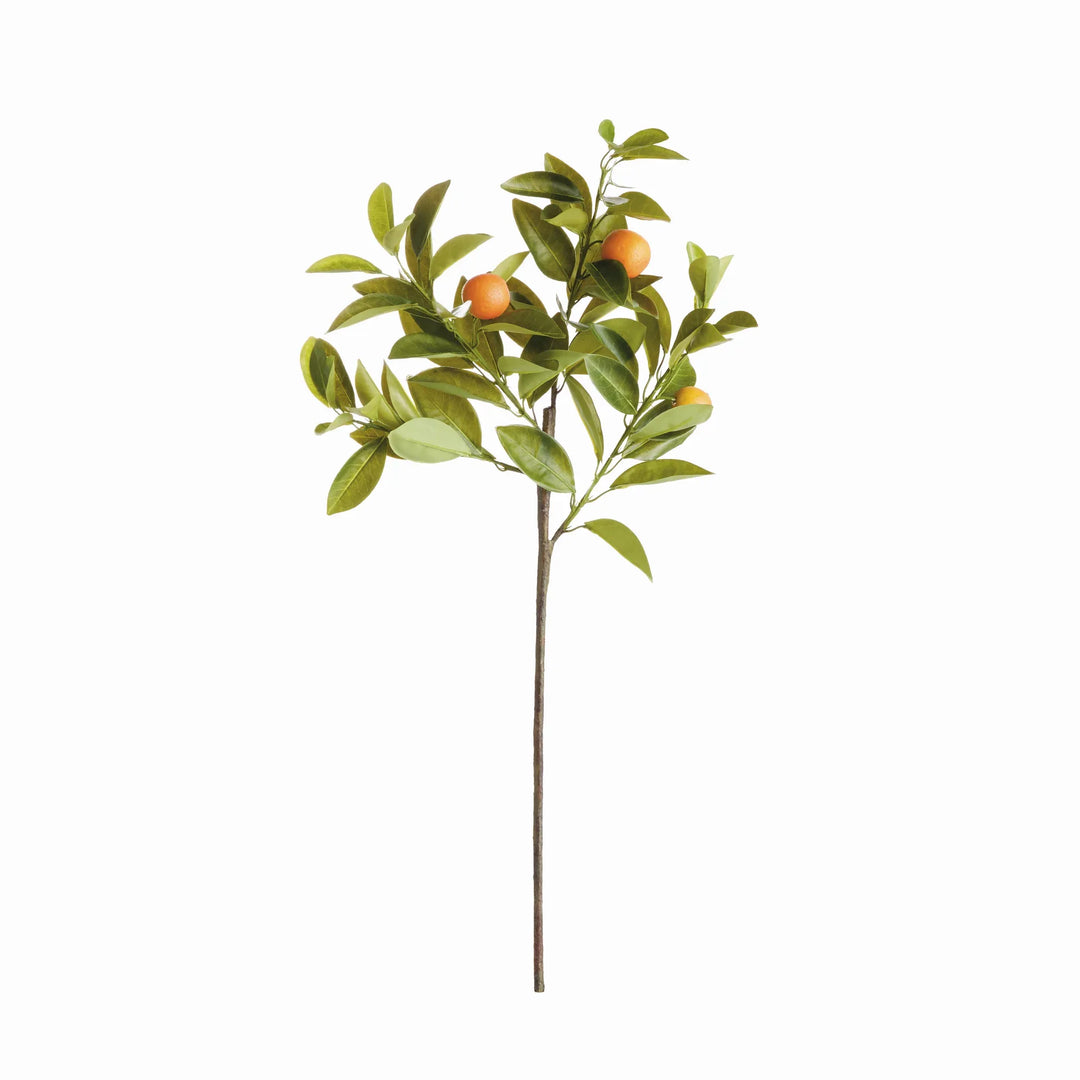 Faux Orange Stems 31", Set Of 4 – Modern Organic
